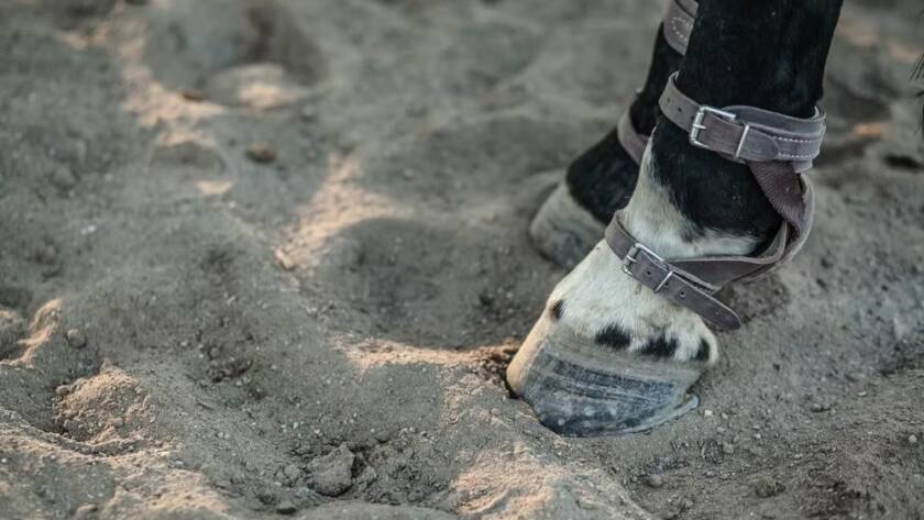 footing benefits of rubber mulch